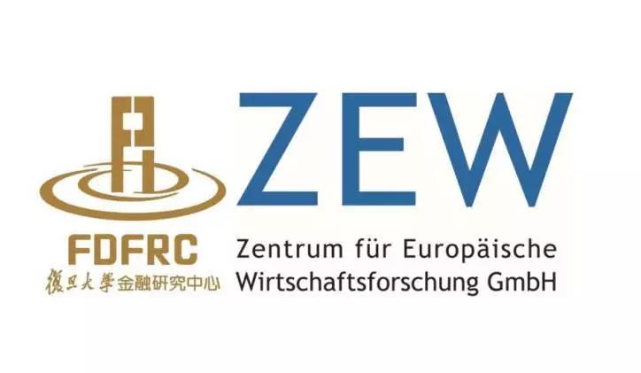 zew网站.jpg